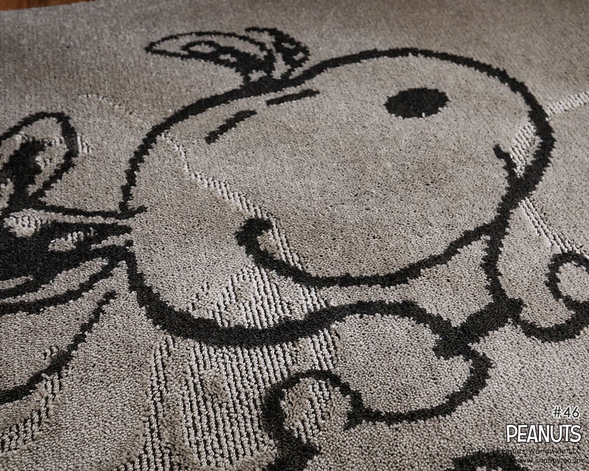 13475762_46_4.jpgの画像