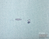 P1055_6-2.jpgの画像