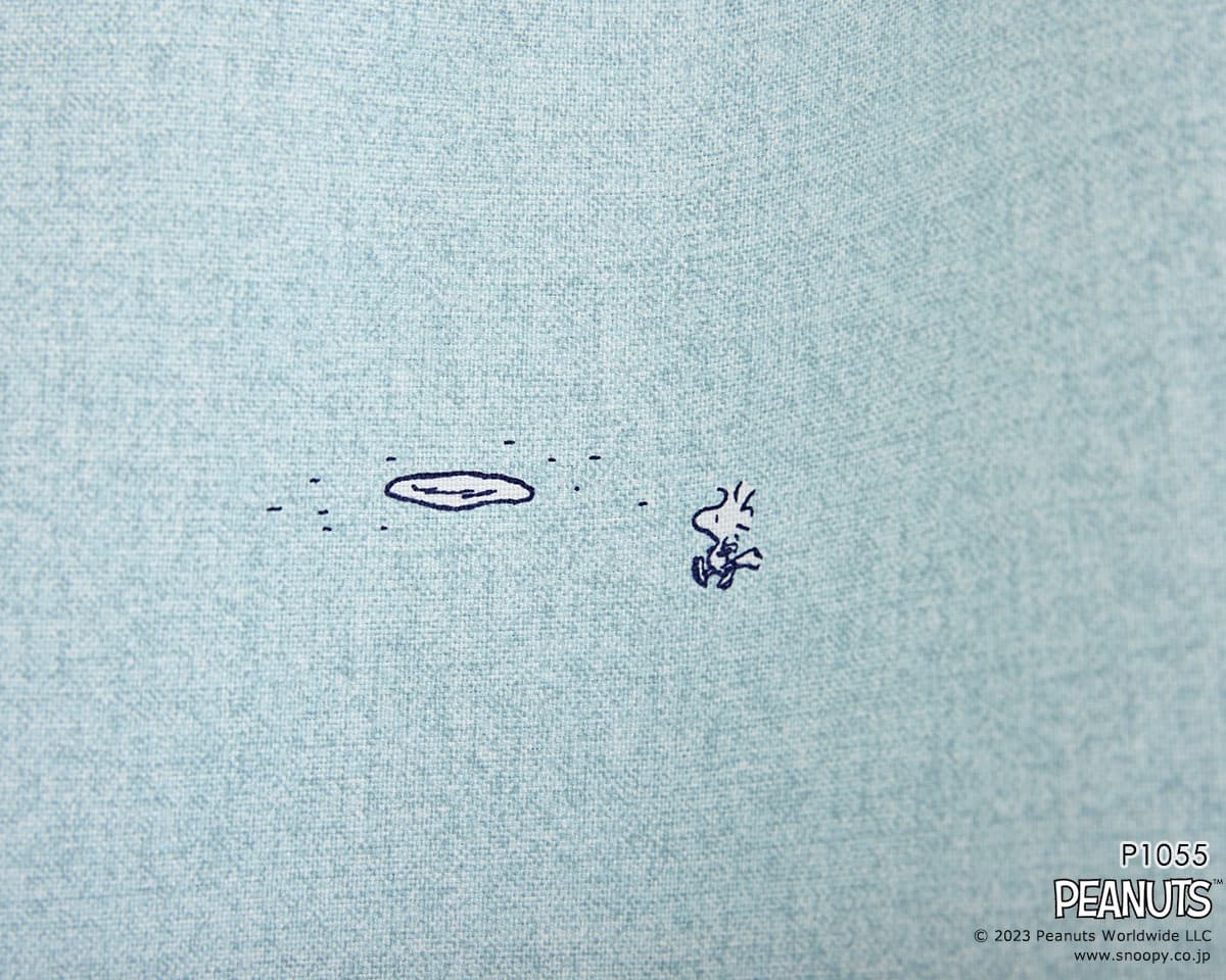 P1055_6.jpgの画像