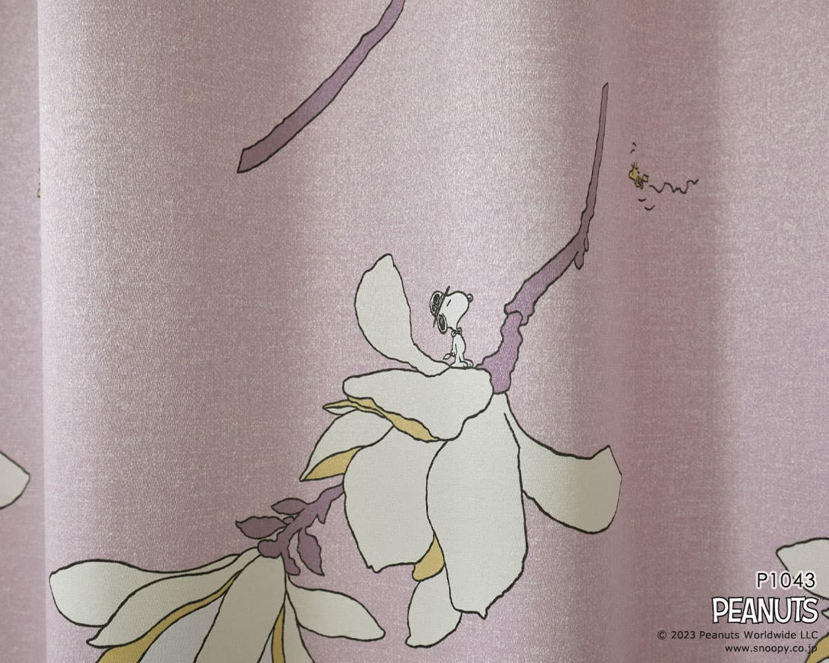 P1043_6.jpgの画像