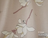 P1044_5-2.jpgの画像