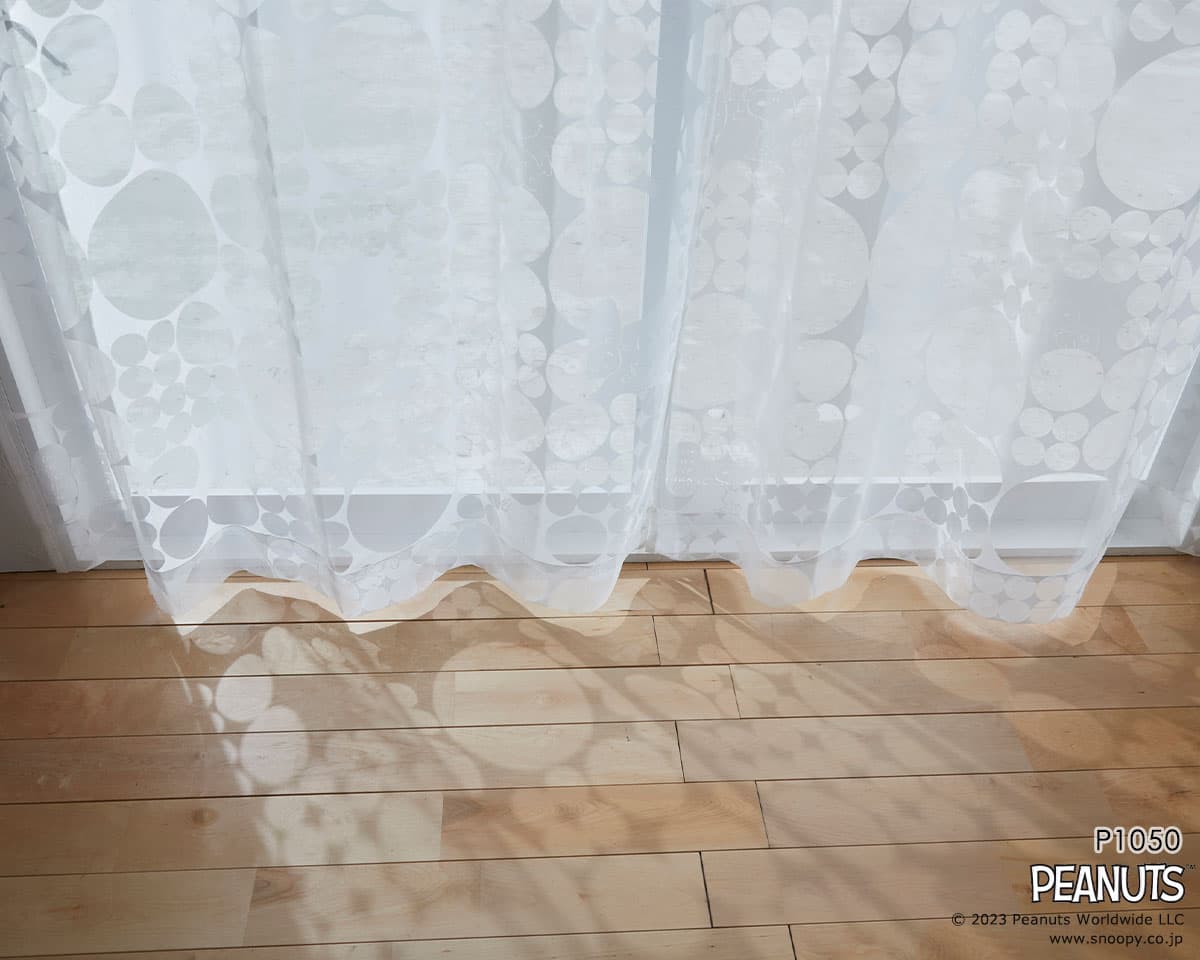 P1050_4.jpgの画像