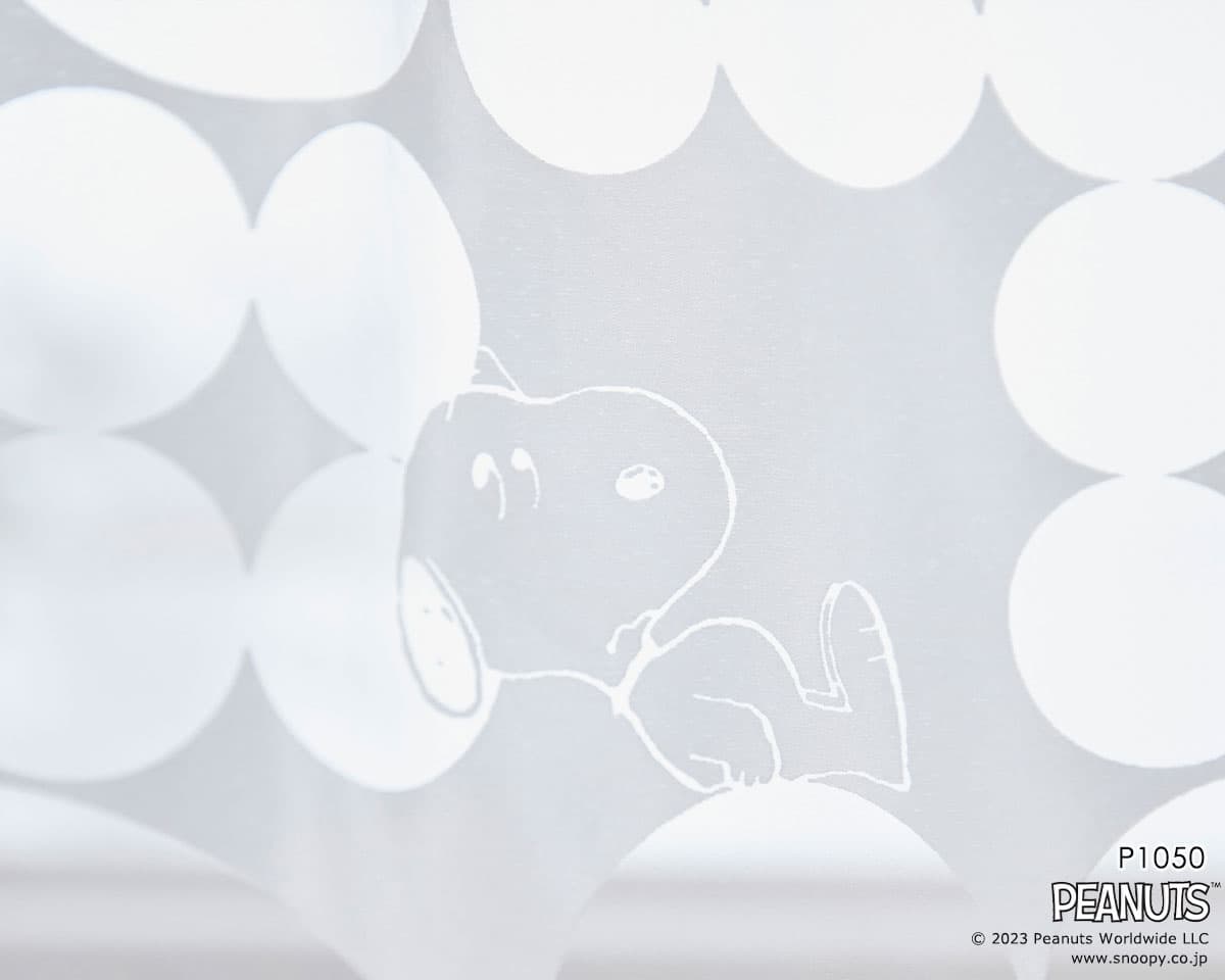 P1050_6.jpgの画像